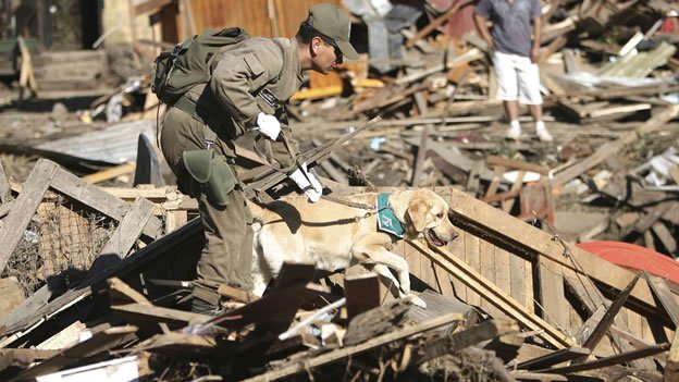 La búsqueda de sobrevivientes o cuerpos entre los escombros continúa en las zonas más afectadas del sismo. (Reuters).